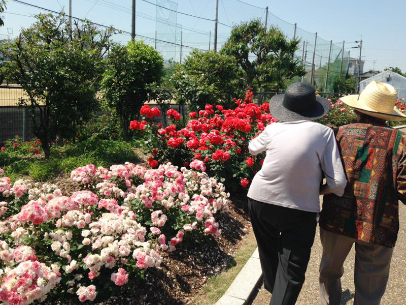 バラ公園散策