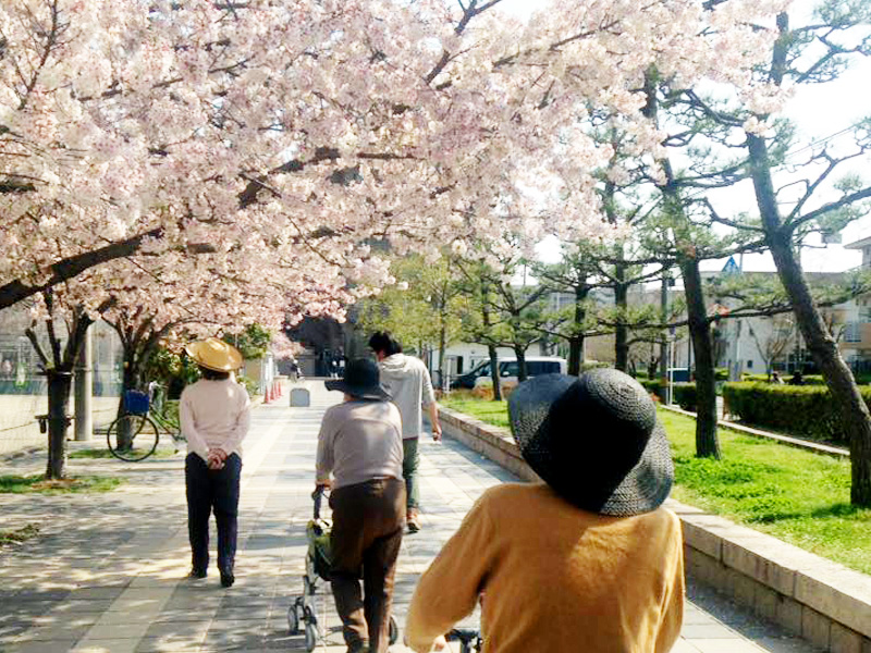 お花見